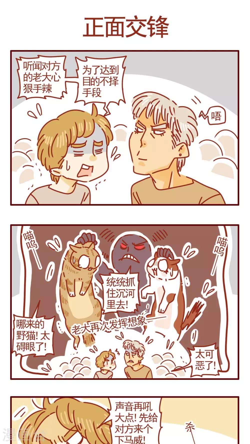 《猫咪甜品屋》第306话 第1页
