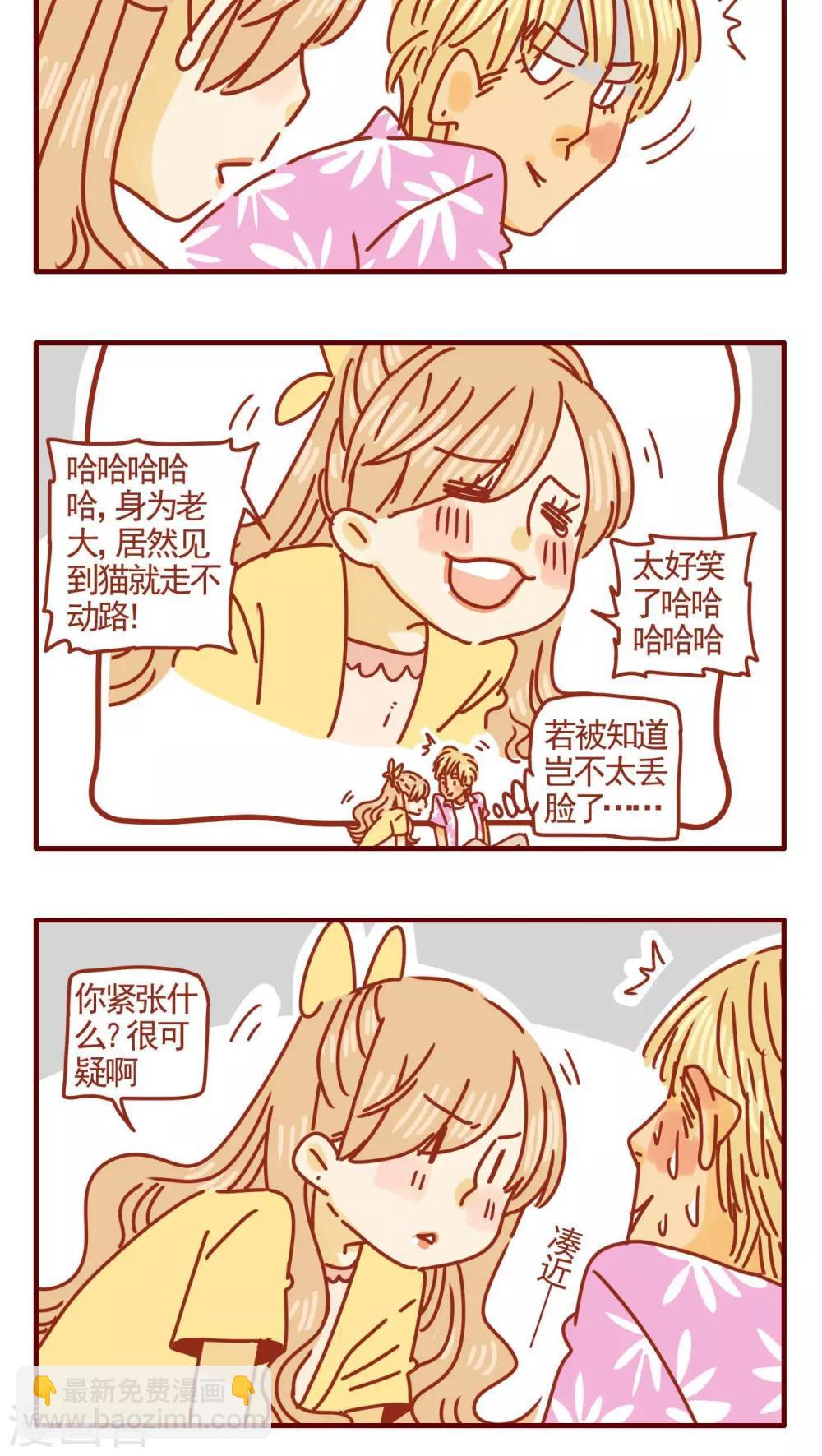 《猫咪甜品屋》第311话 第4页
