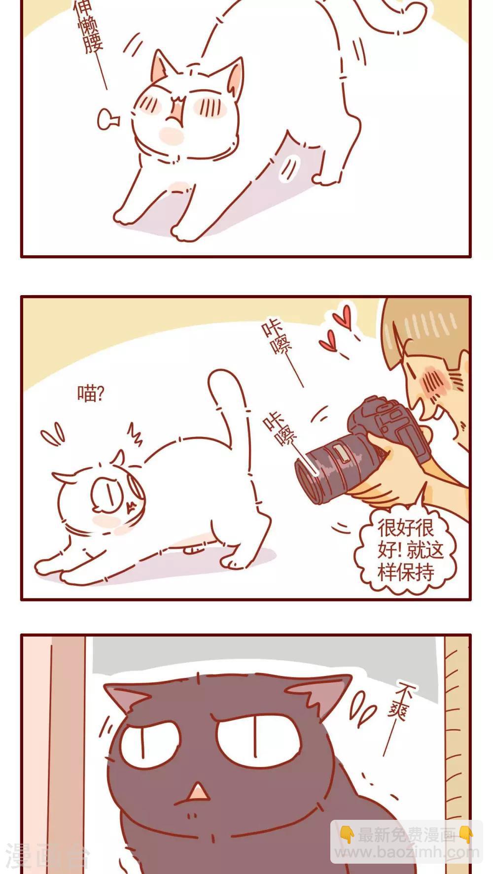 《猫咪甜品屋》第313话 第4页