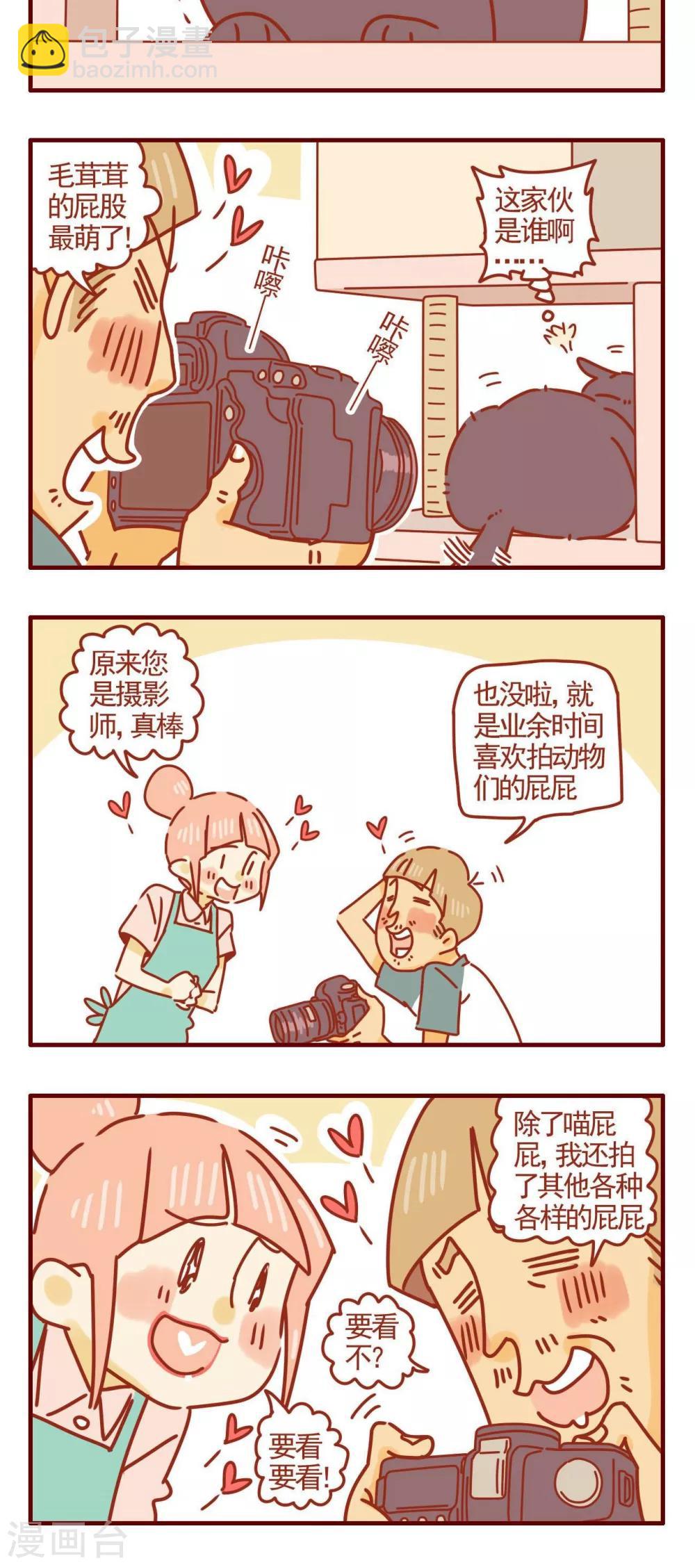 《猫咪甜品屋》第313话 第5页