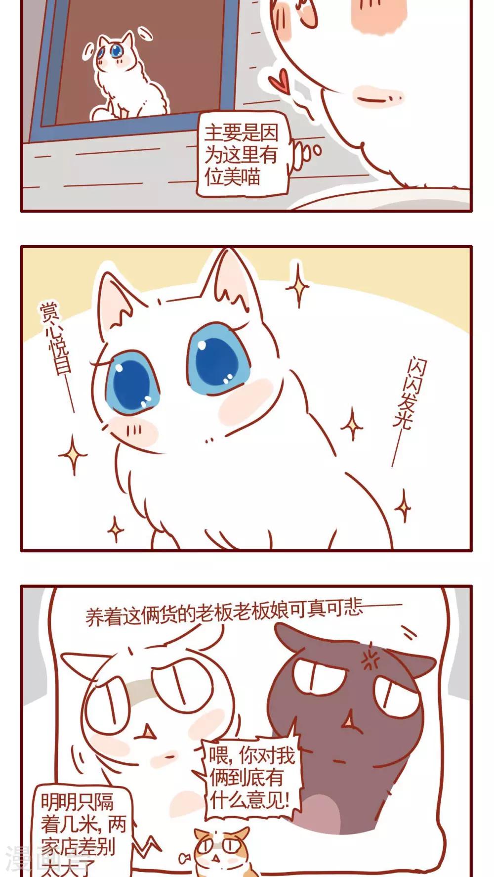 《猫咪甜品屋》第316话 第2页