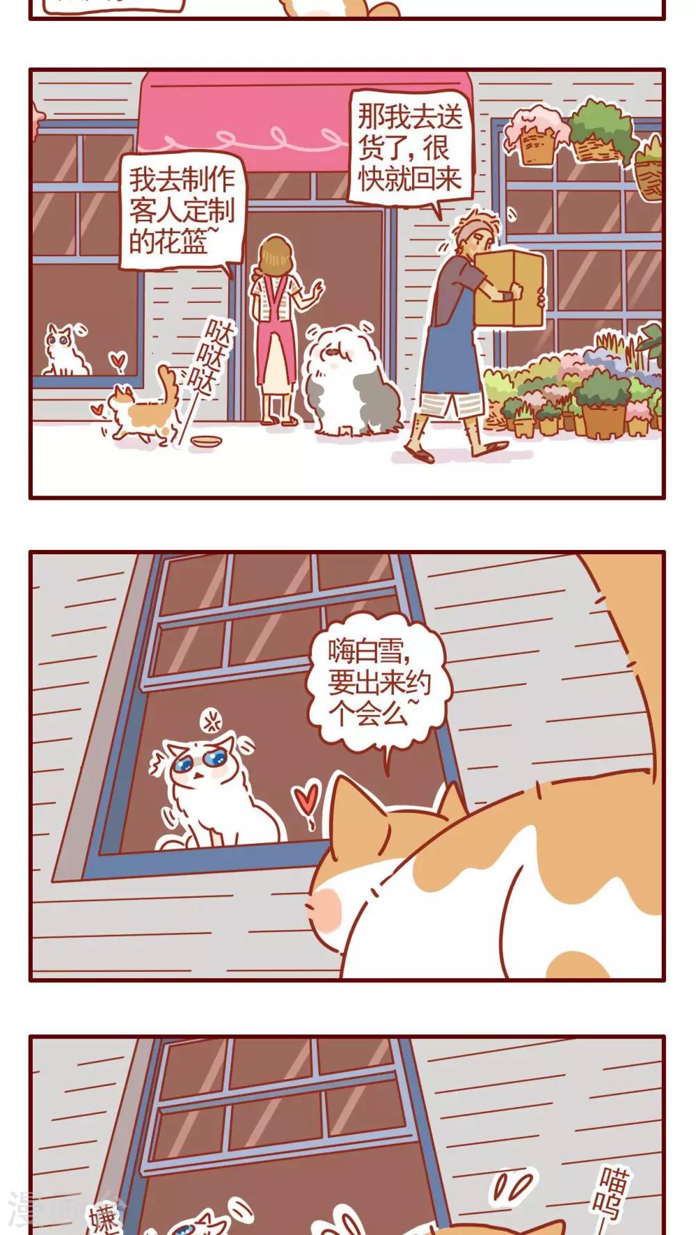 《猫咪甜品屋》第316话 第3页