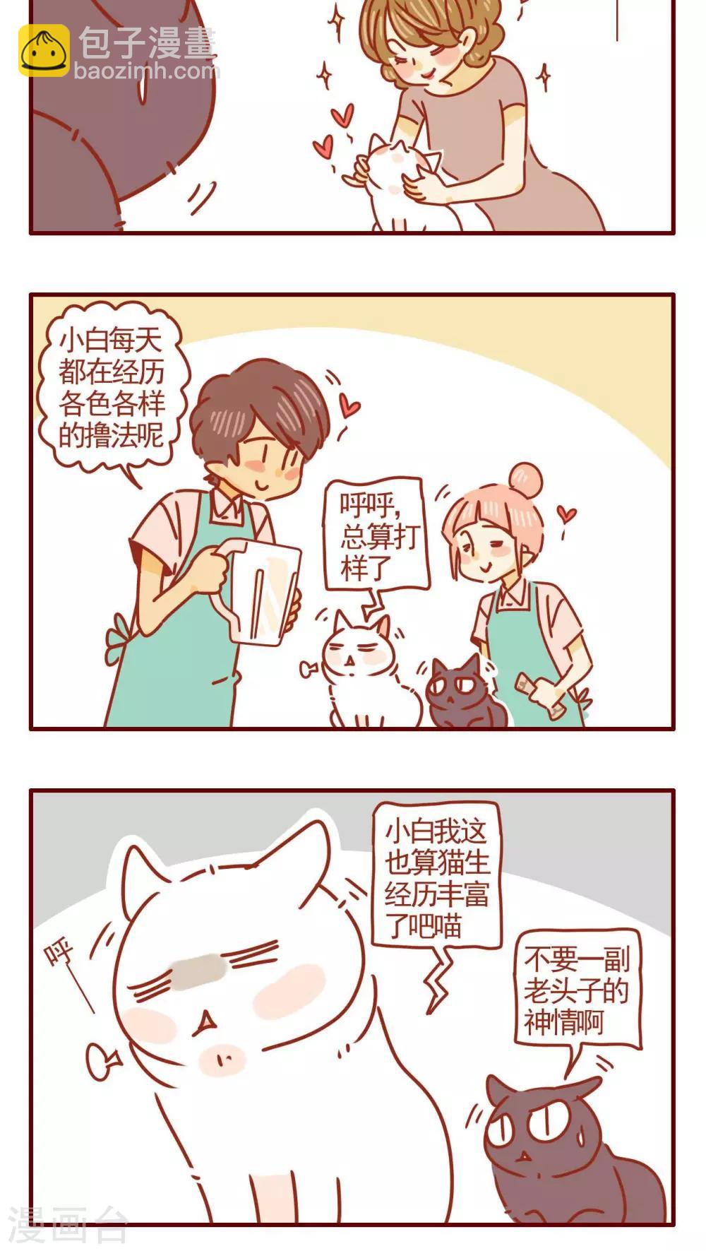 《猫咪甜品屋》第315话 第4页