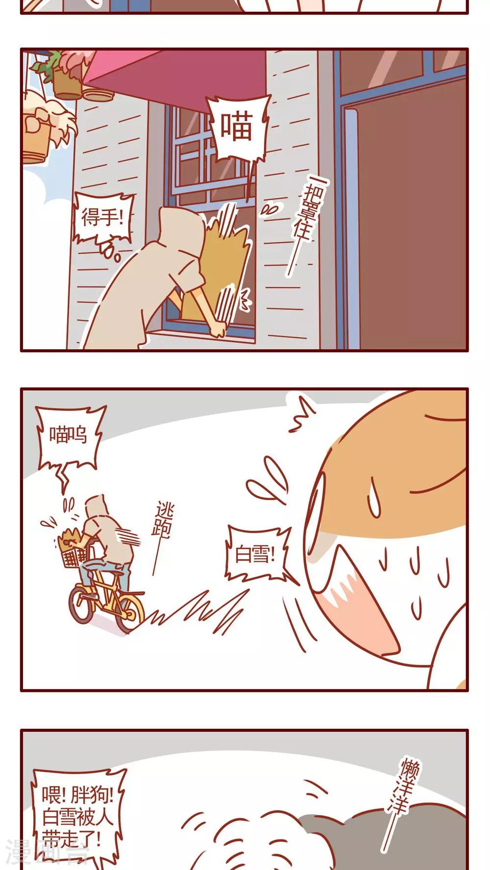 《猫咪甜品屋》第317话 第3页