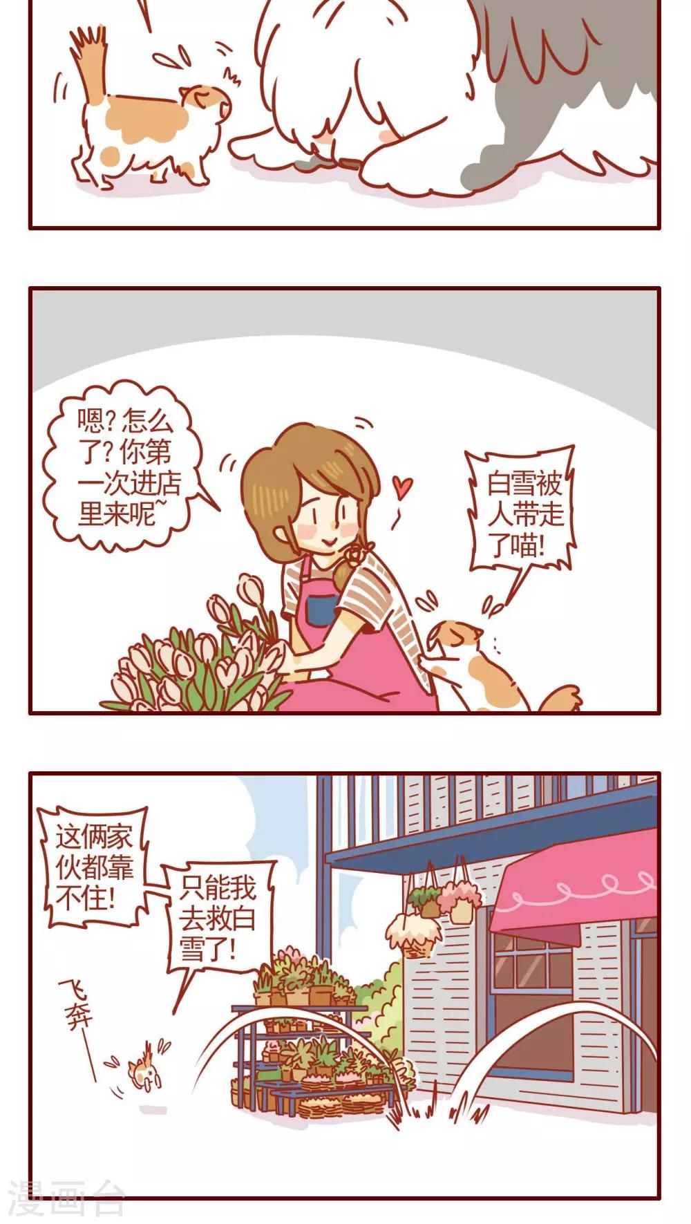 《猫咪甜品屋》第317话 第4页
