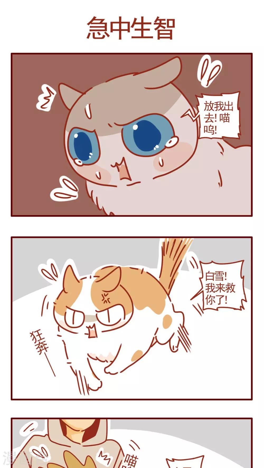 《猫咪甜品屋》第318话 第1页