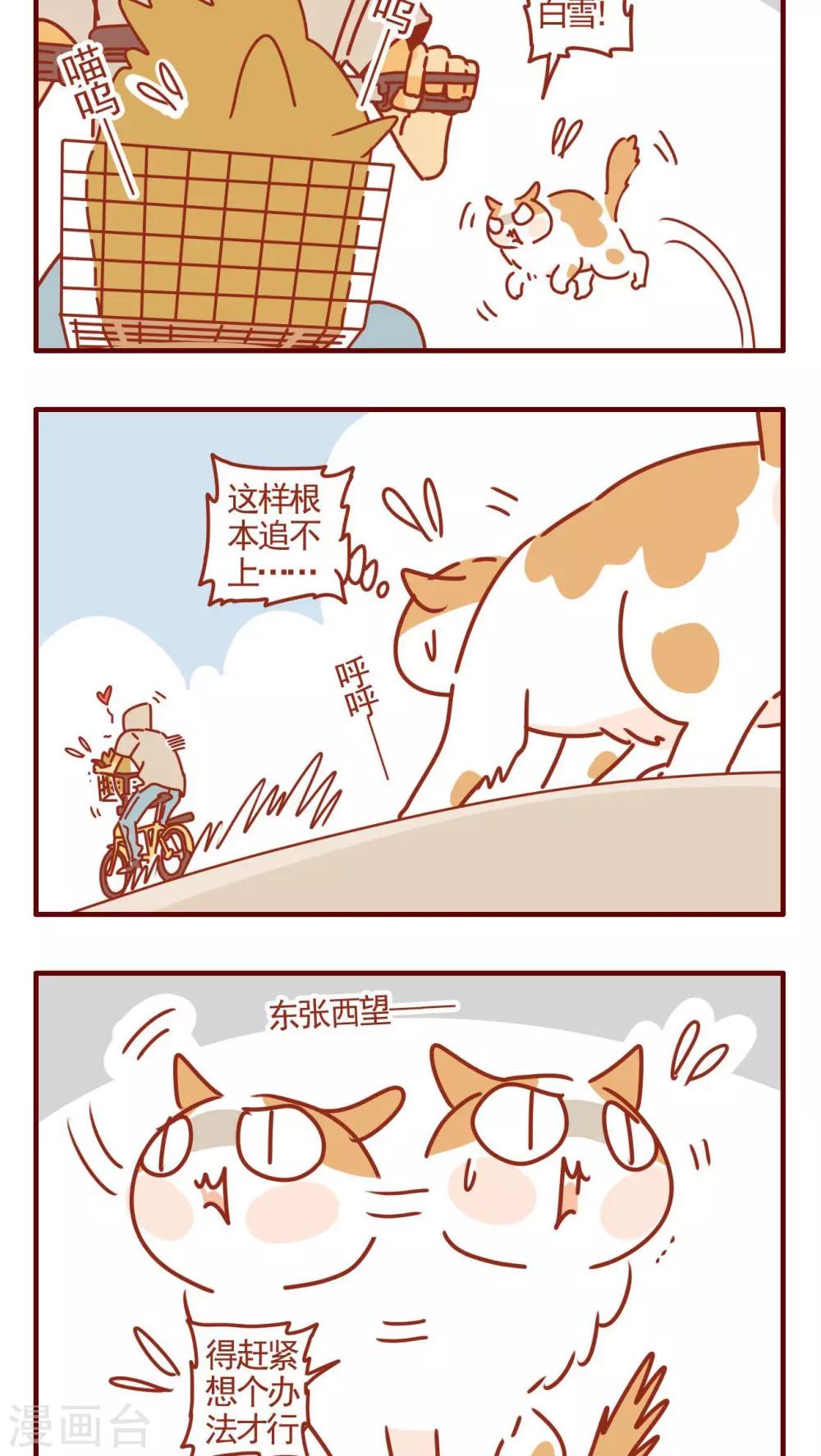 《猫咪甜品屋》第318话 第2页
