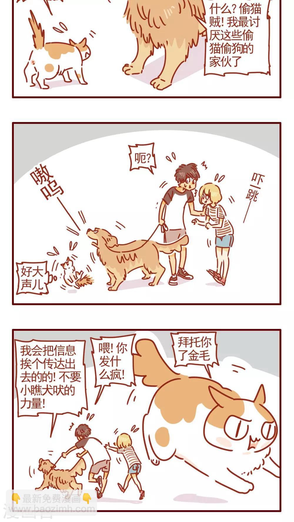 《猫咪甜品屋》第318话 第4页