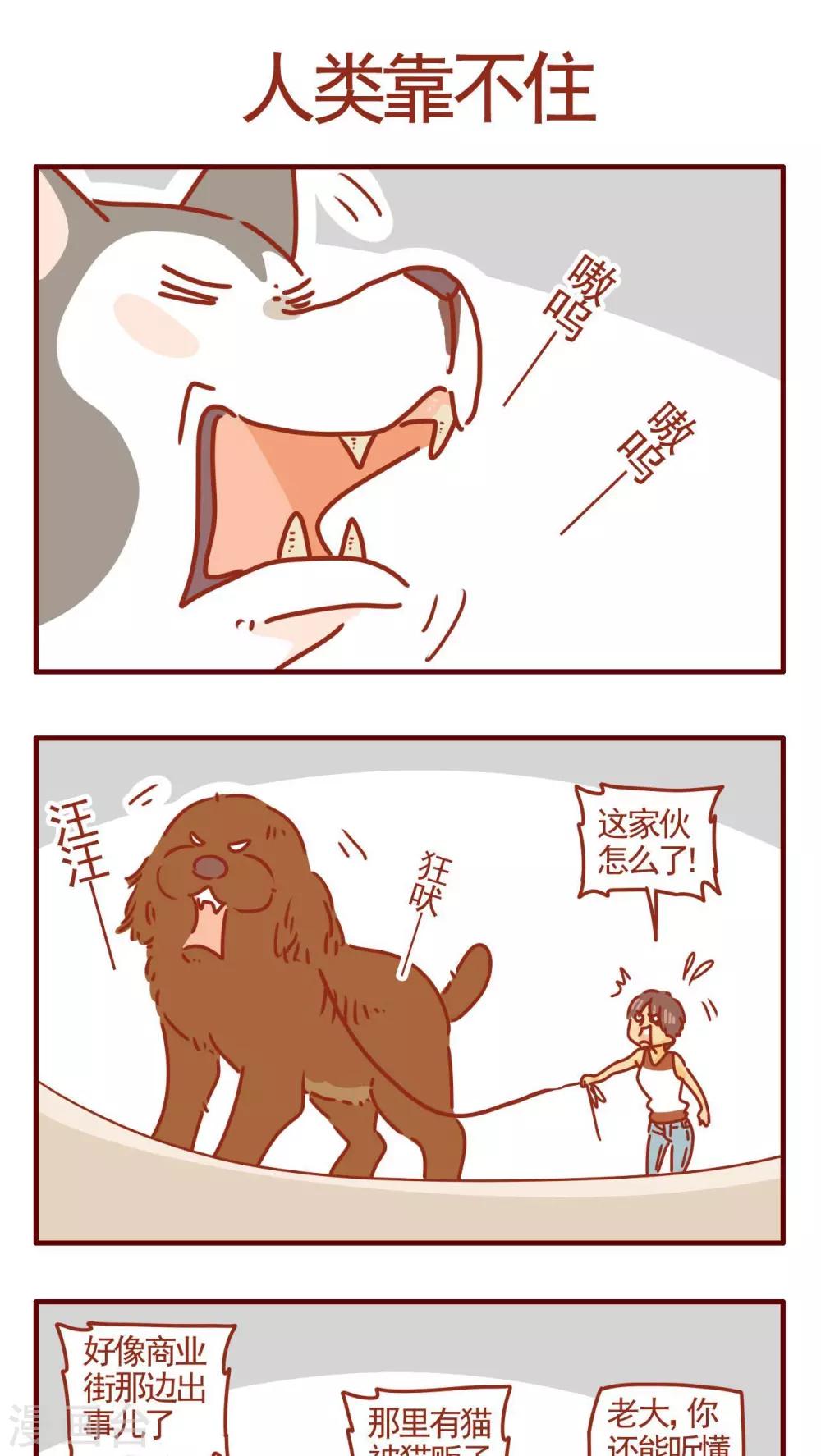 《猫咪甜品屋》第319话 第1页