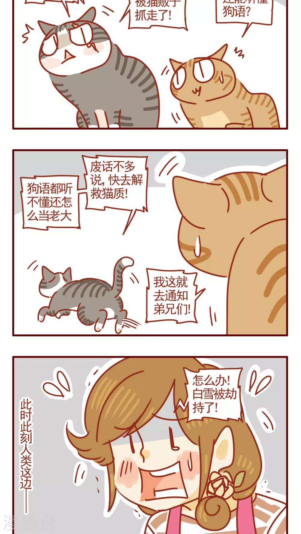 《猫咪甜品屋》第319话 第2页
