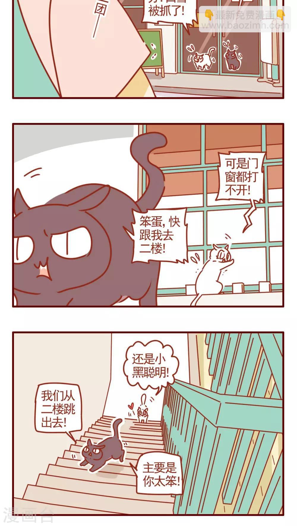 《猫咪甜品屋》第319话 第4页