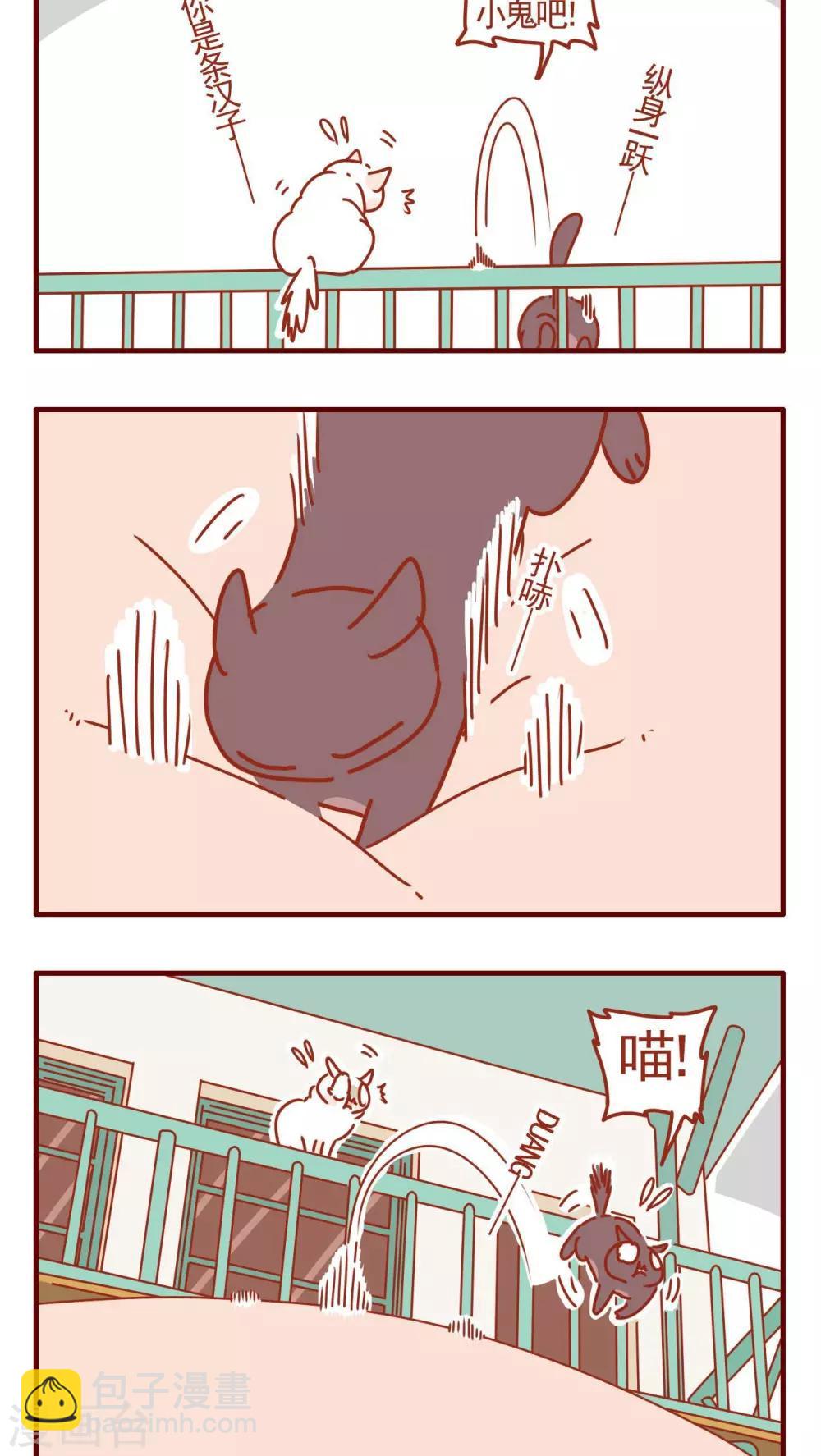 《猫咪甜品屋》第320话 第2页