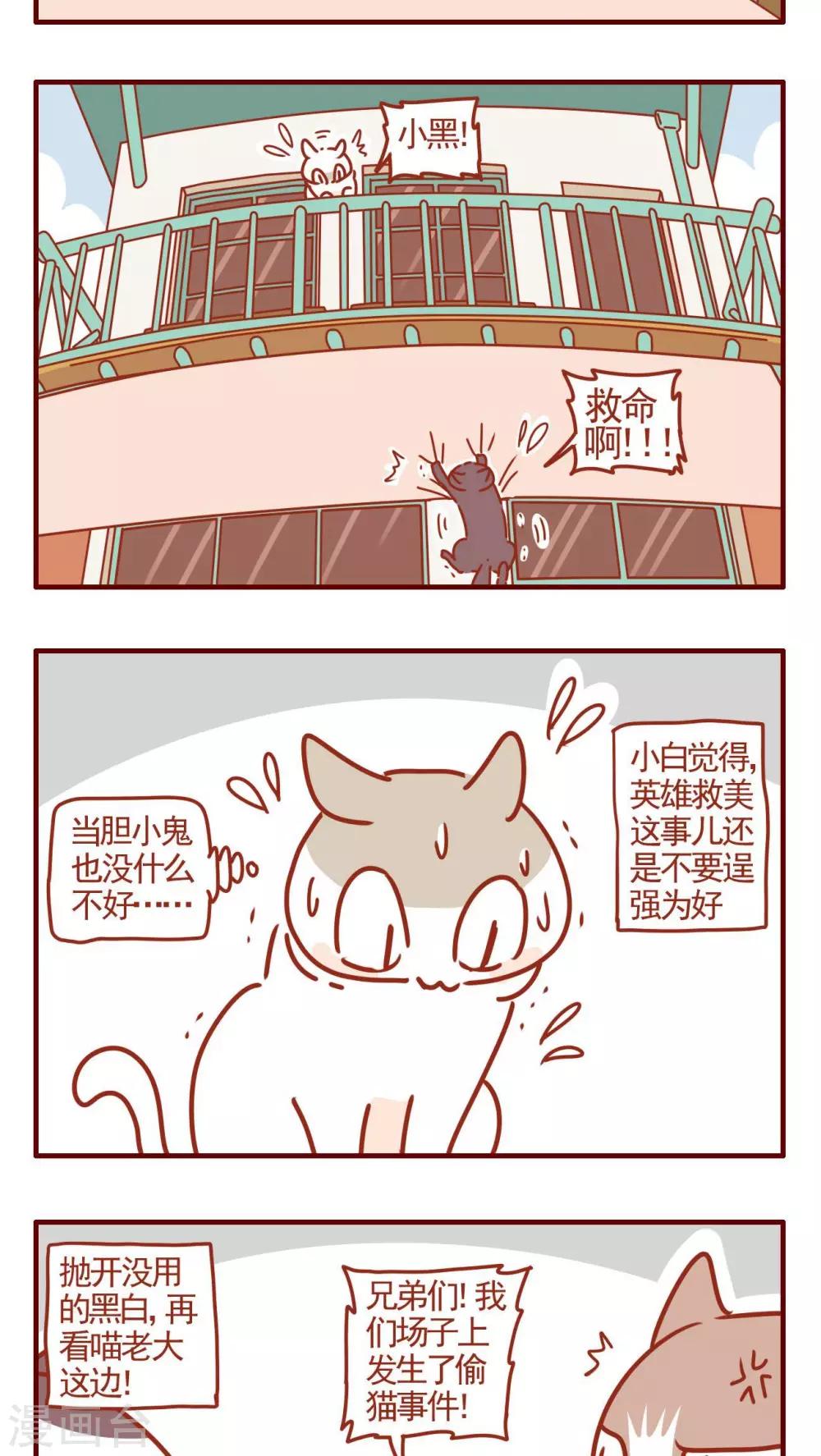 《猫咪甜品屋》第320话 第3页