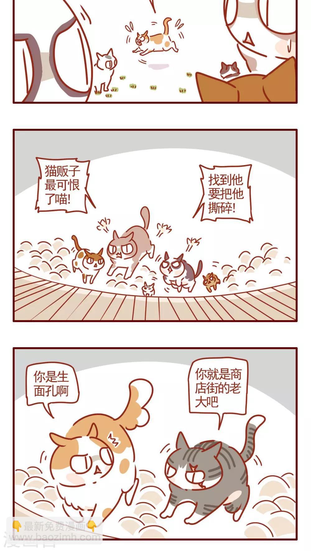 《猫咪甜品屋》第320话 第4页