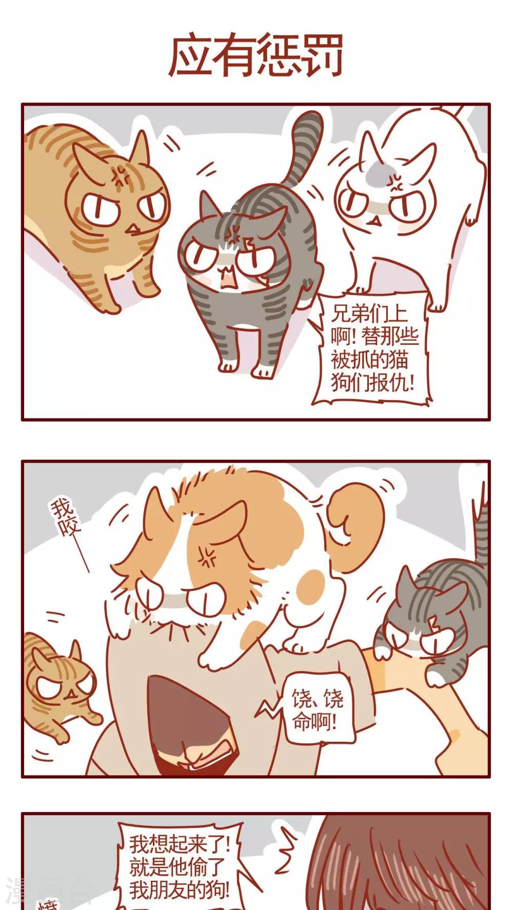 《猫咪甜品屋》第322话 第1页