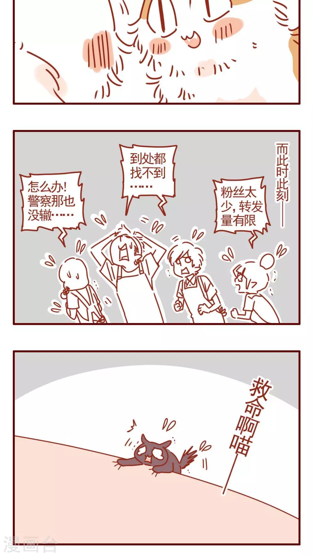 《猫咪甜品屋》第322话 第4页