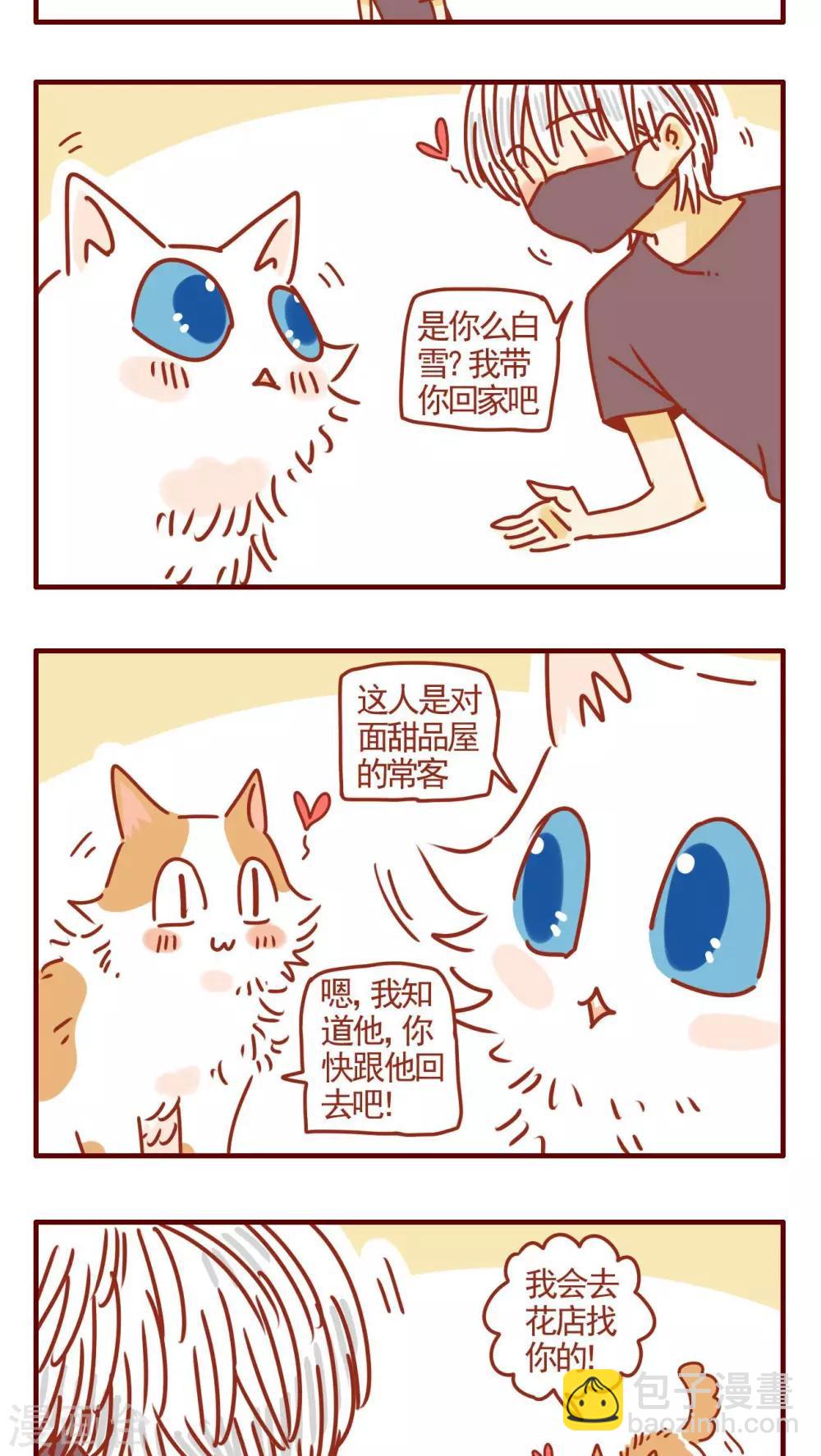 《猫咪甜品屋》第323话 第3页