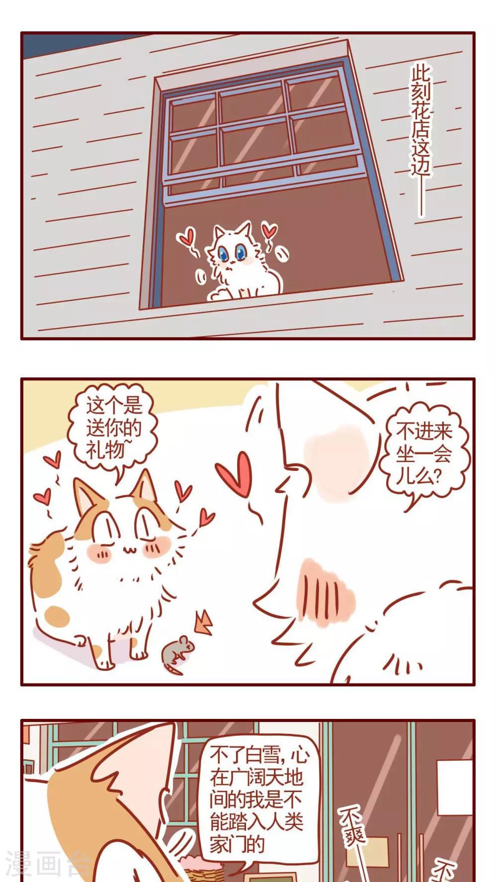 《猫咪甜品屋》第324话 第5页