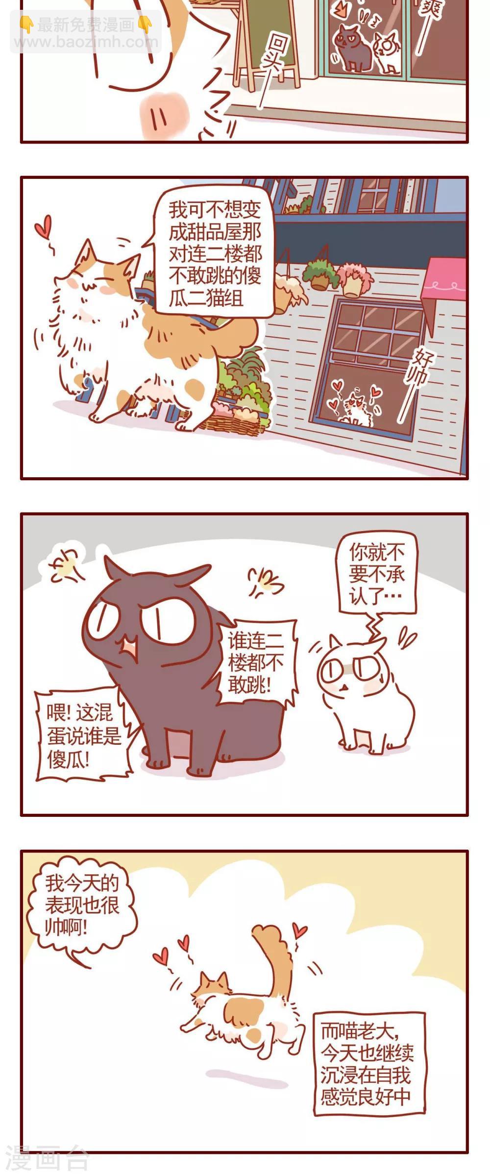 《猫咪甜品屋》第324话 第6页