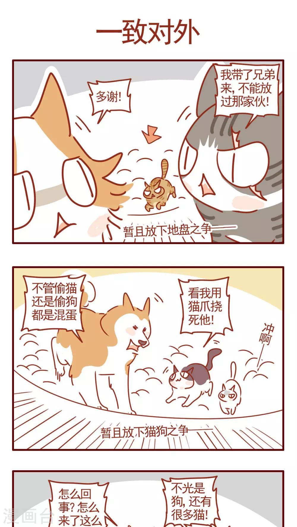 《猫咪甜品屋》第321话 第1页