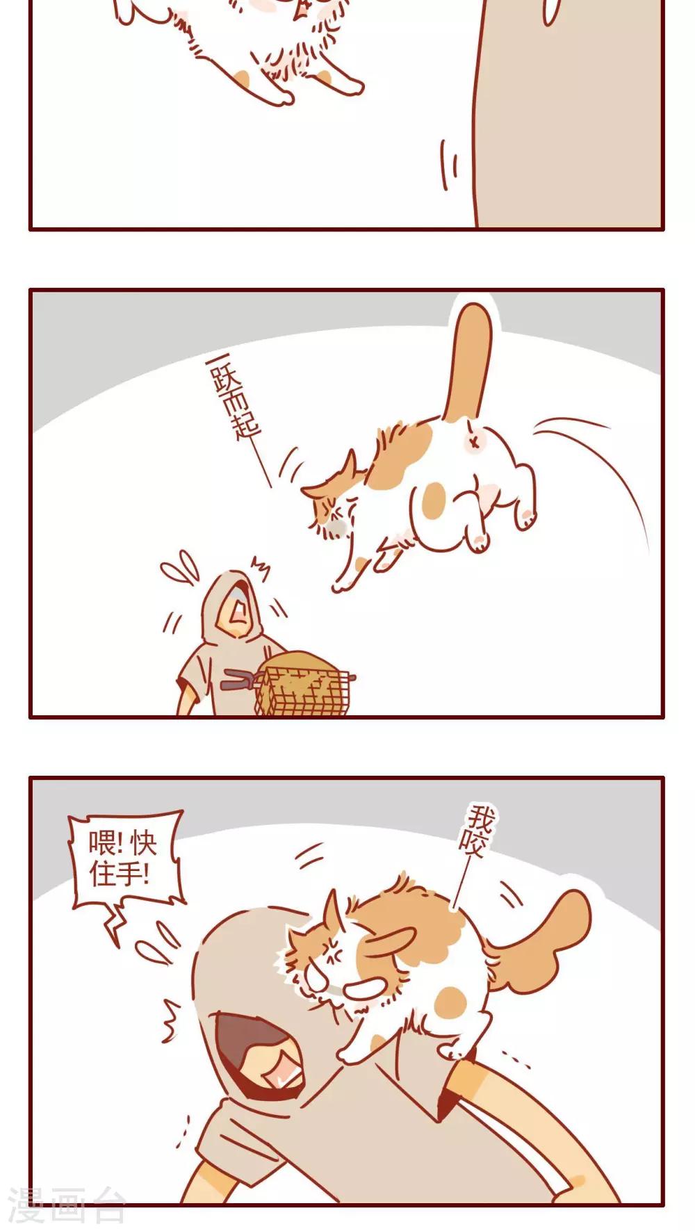 《猫咪甜品屋》第321话 第4页