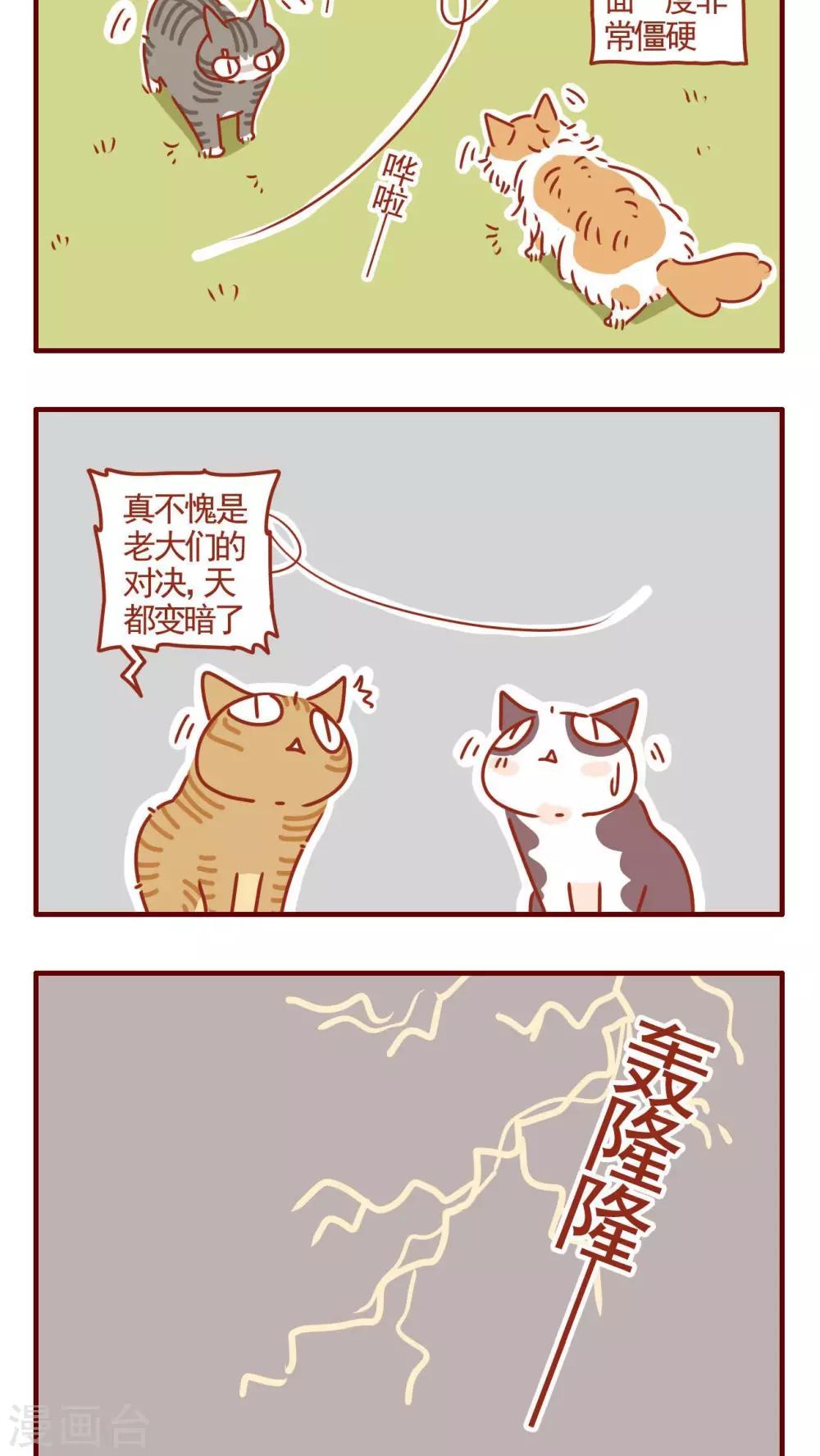 《猫咪甜品屋》第328话 第2页