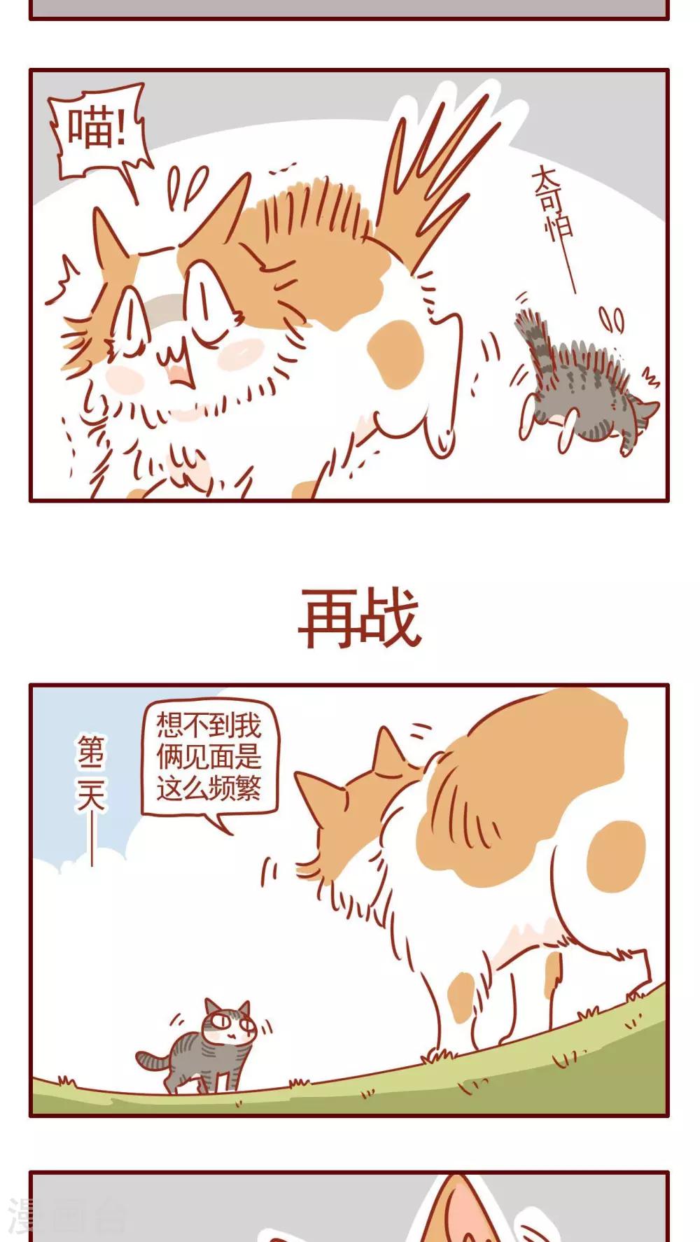 《猫咪甜品屋》第328话 第3页