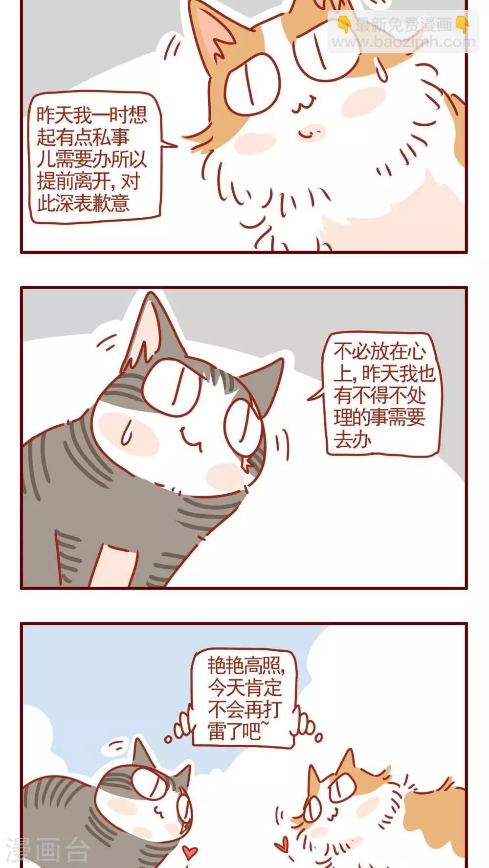《猫咪甜品屋》第328话 第4页