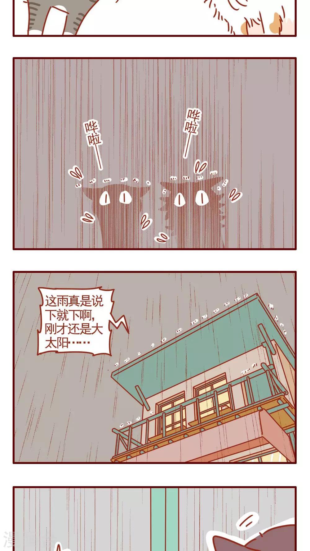 《猫咪甜品屋》第328话 第5页