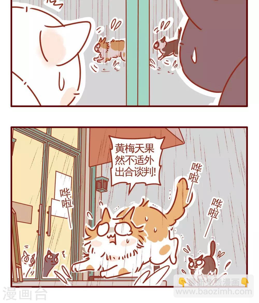 《猫咪甜品屋》第328话 第6页