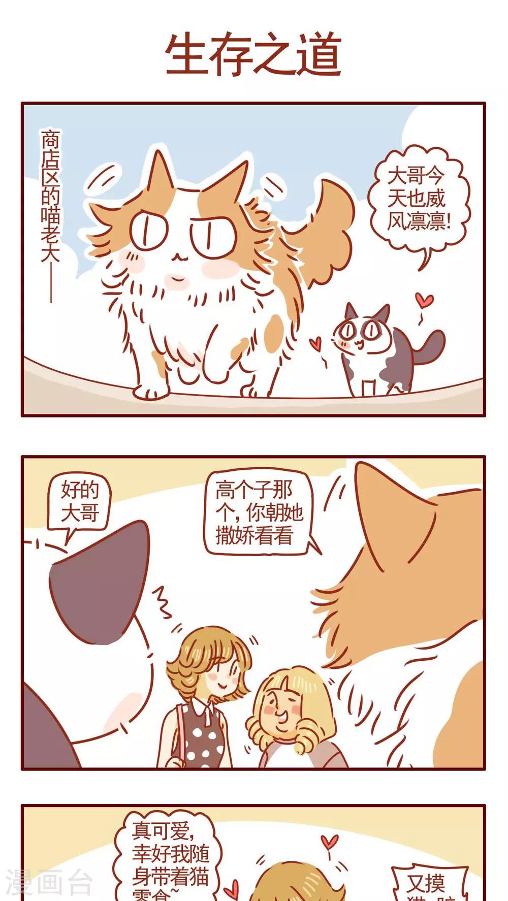 《猫咪甜品屋》第327话 第1页