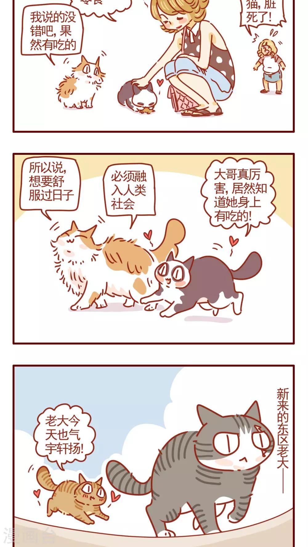 《猫咪甜品屋》第327话 第2页