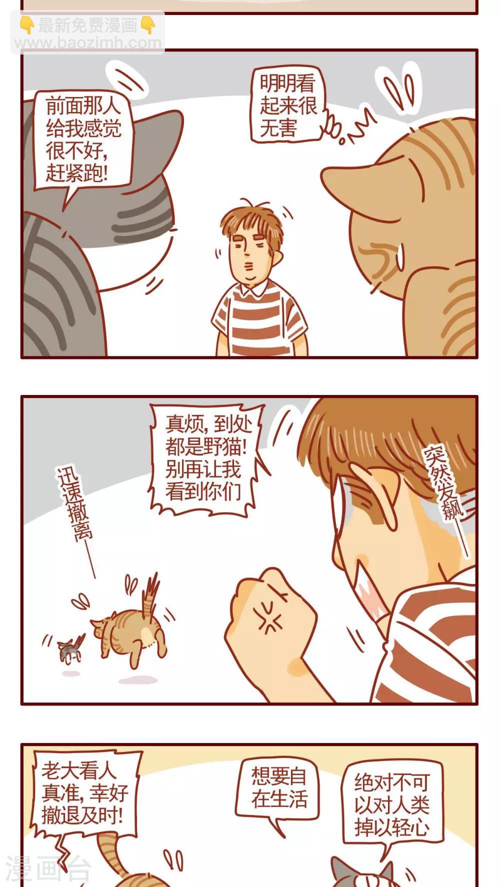 《猫咪甜品屋》第327话 第3页