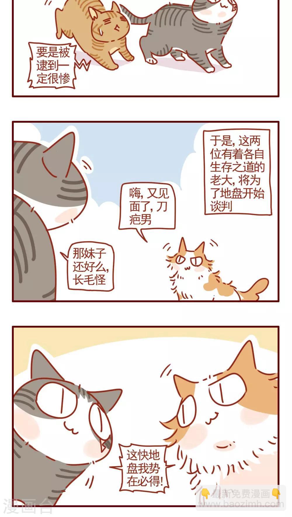 《猫咪甜品屋》第327话 第4页