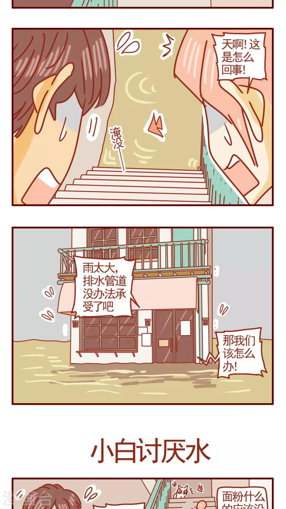 《猫咪甜品屋》第329话 第3页