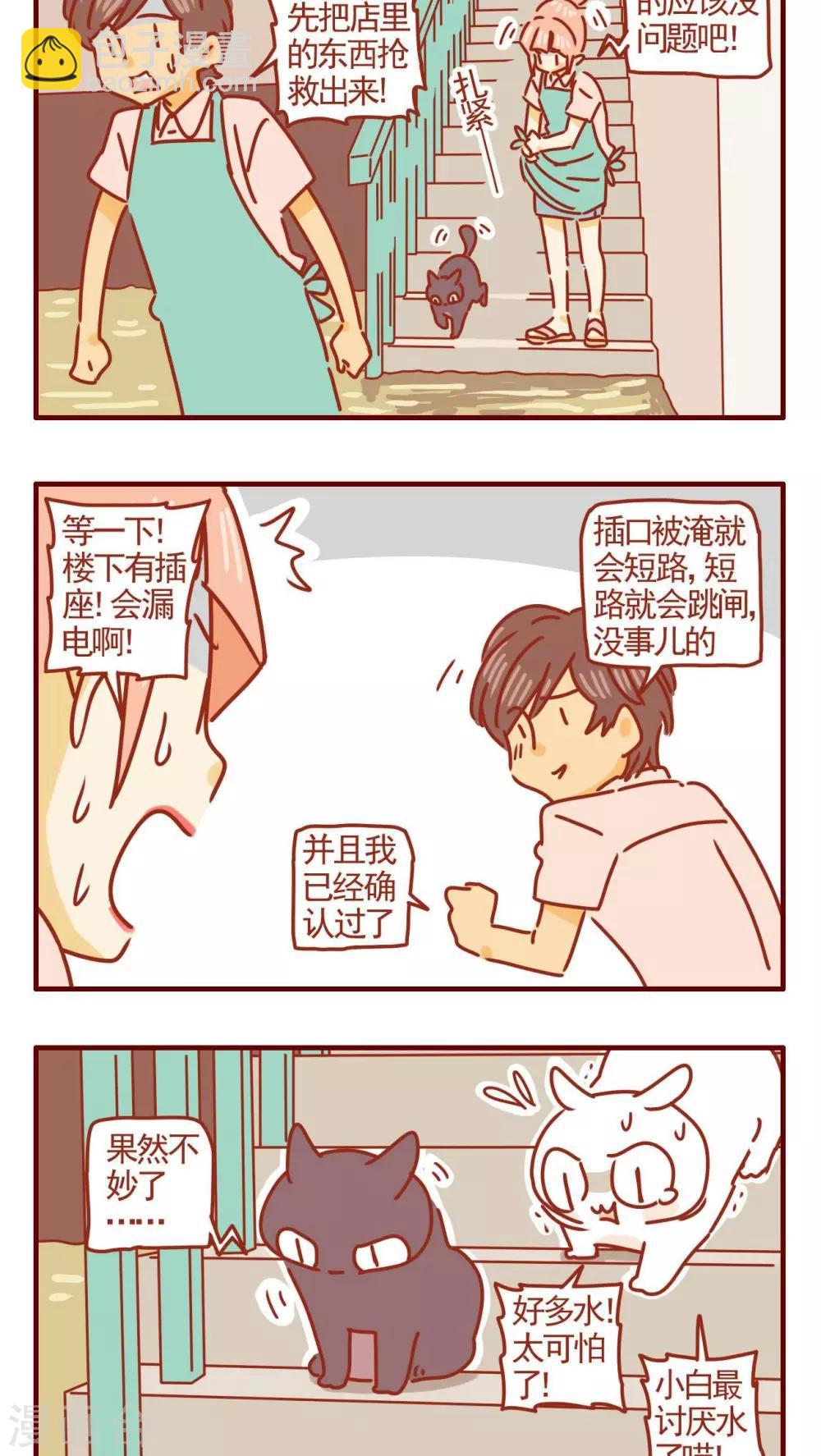 《猫咪甜品屋》第329话 第4页