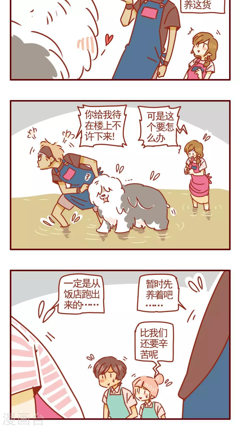 《猫咪甜品屋》第330话 第4页