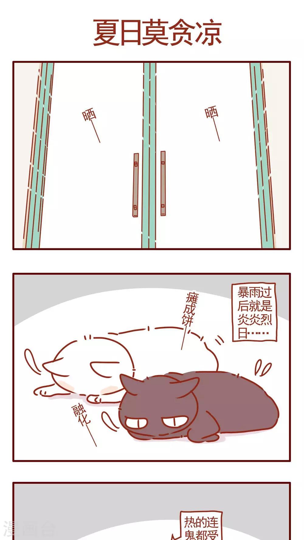 《猫咪甜品屋》第335话 第1页