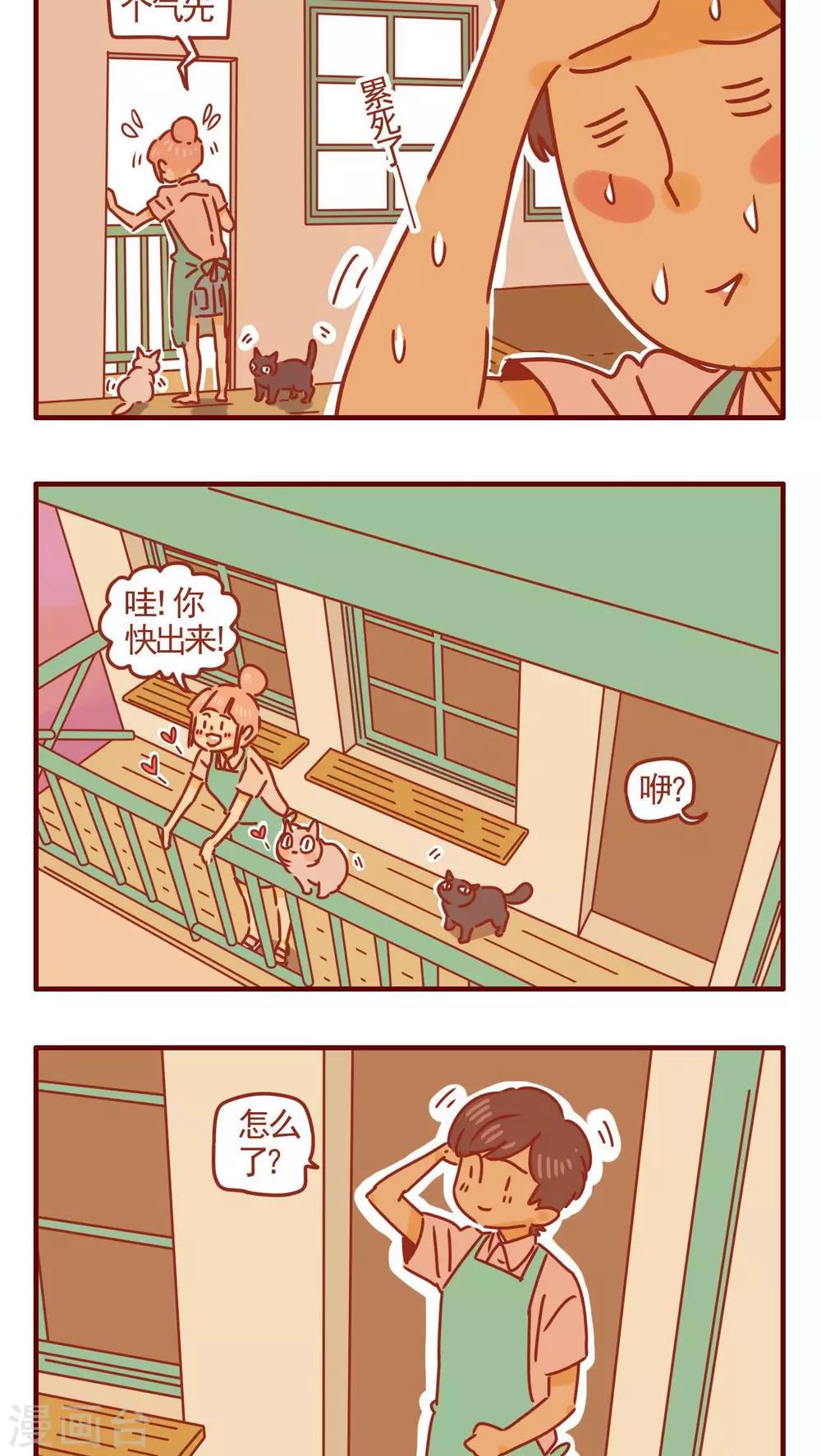 《猫咪甜品屋》第334话 第4页