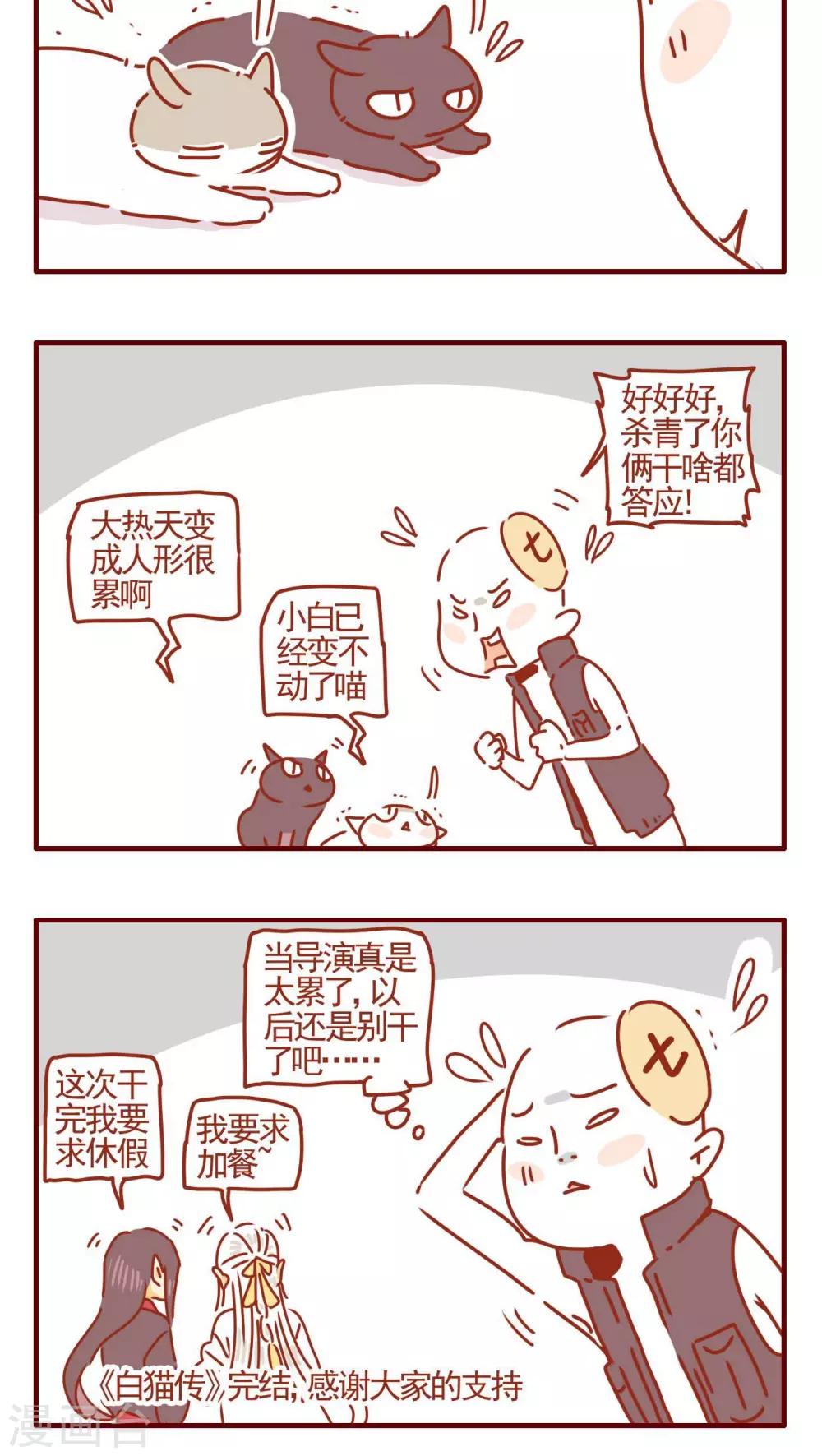 《猫咪甜品屋》第349话 第4页