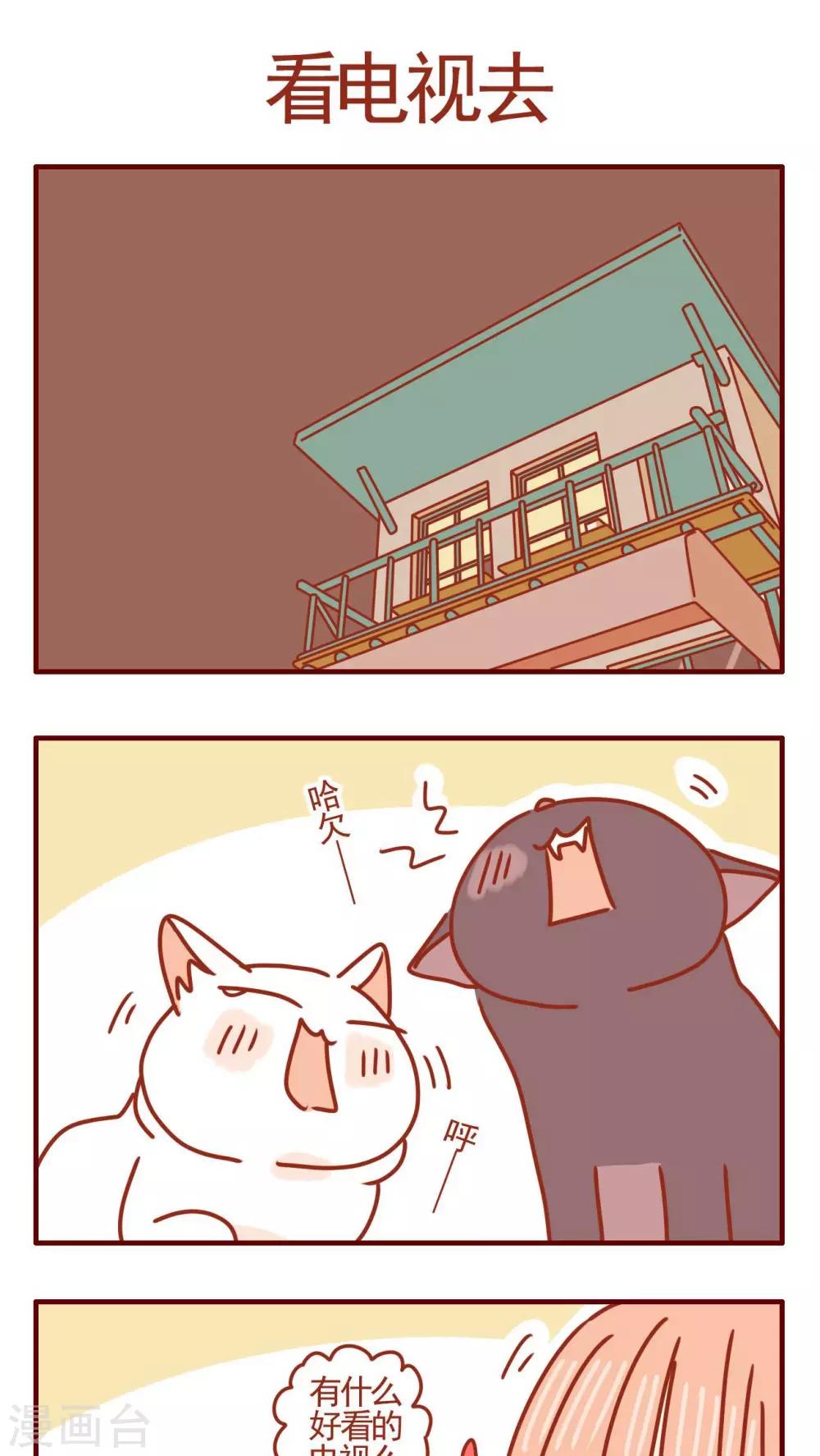 《猫咪甜品屋》第355话 第1页