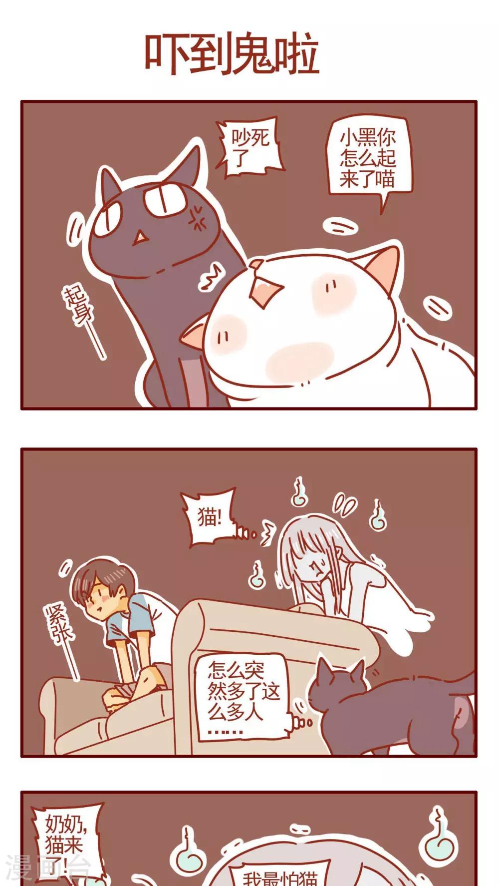 《猫咪甜品屋》第356话 第1页