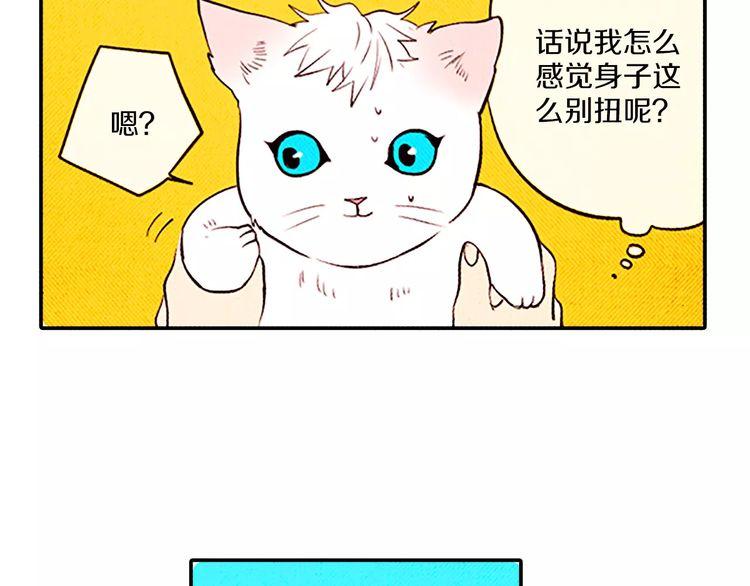 《恶魔也要义务教育》第71话 恶魔也喜欢小猫 第47页