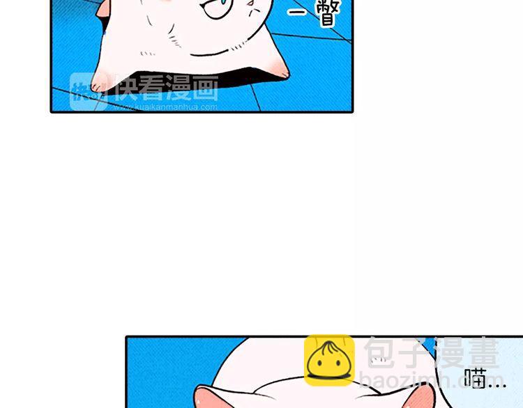 《恶魔也要义务教育》第81话 最强悍的猫！ 第17页