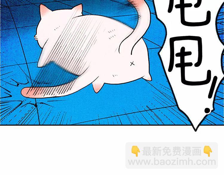 《恶魔也要义务教育》第81话 最强悍的猫！ 第19页