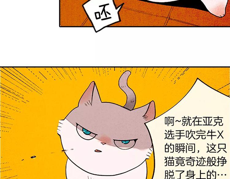 《恶魔也要义务教育》第81话 最强悍的猫！ 第34页