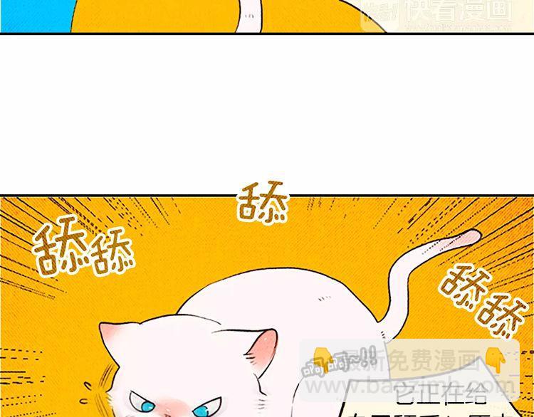 《恶魔也要义务教育》第81话 最强悍的猫！ 第42页