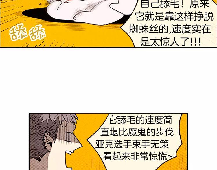 《恶魔也要义务教育》第81话 最强悍的猫！ 第43页