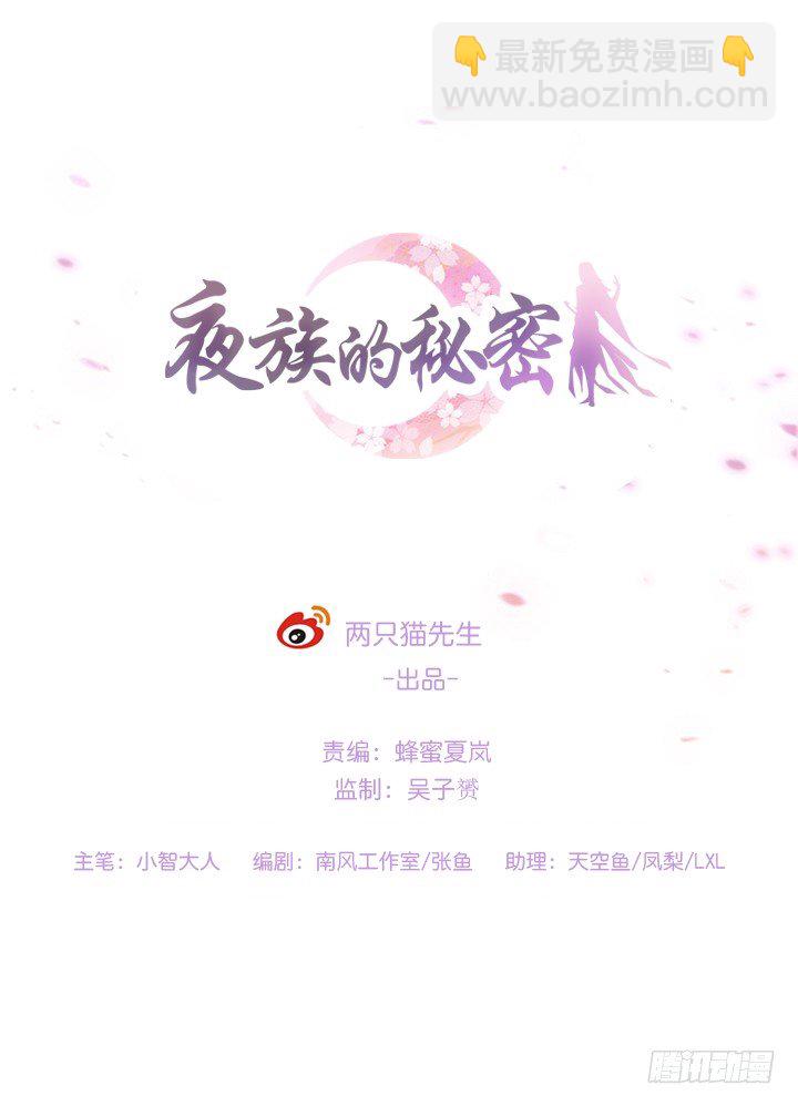 《夜族的秘密》9话 不过是个冒牌货 第2页