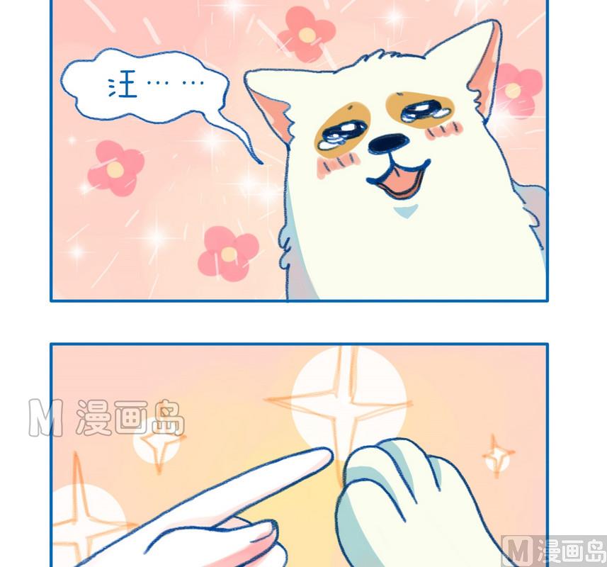 《牙特多工作记》172敢抱狗 第2页